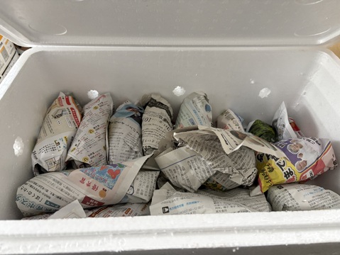 糖度60度越えねっとり系代表❣️千葉県香取市産　S・Mさつまいも極甘！ 【紅はるか】9.8kg