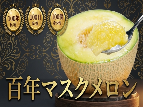 【お中元ギフト】🍈1700自治体中1位🍈農業算出額日本一の渥美半島ブランド結晶『百年マスクメロン』『贈答・家庭用にも』【7月中旬予約】