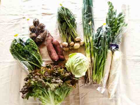 セットでお得♪クール便。野菜セット約8～10種類（農薬化学肥料不使用）と平飼い有精卵20ケ