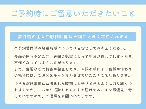■クール便■シャインマスカット・ちょっと贅沢な２房セット｜１kg以上