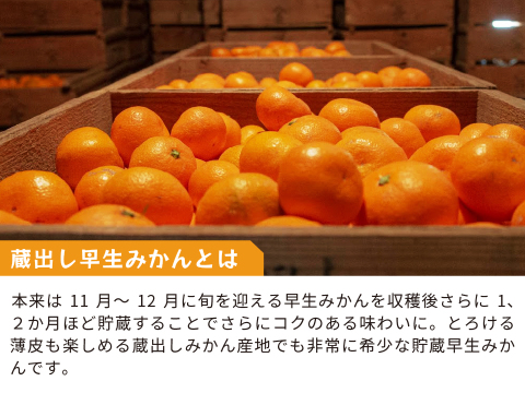 蔵出しみかん早生5kg｜和歌山県海南市下津町の特産品、蔵出しみかんの希少な早生品種