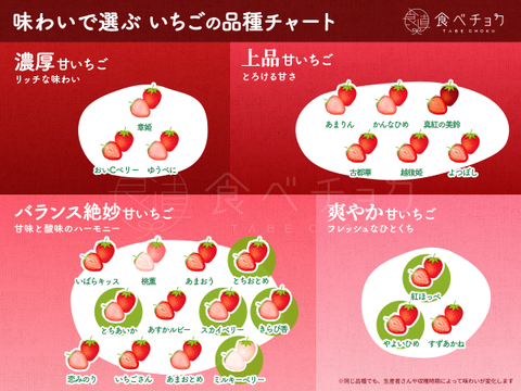 【限定100セット】こだわりいちご便🍓（食べチョク公式）