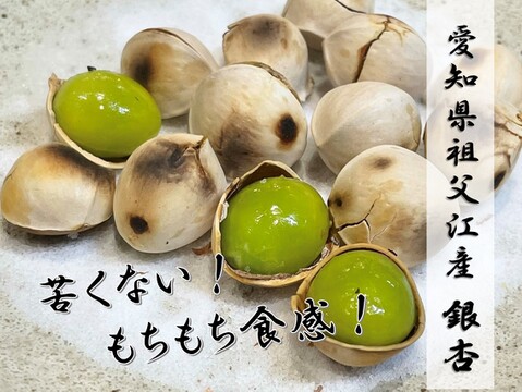 【秋の味覚】苦味が少ない、もっちもち祖父江銀杏【久寿】満足２Ｌサイズ４００ｇ