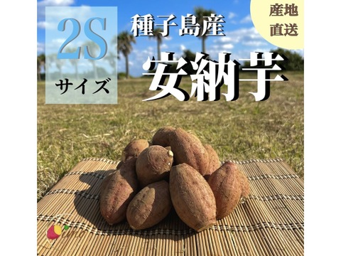 種子島産安納芋 2S&S 混合サイズ 10kg｜甘くて濃厚🍠｜aimo農園直送