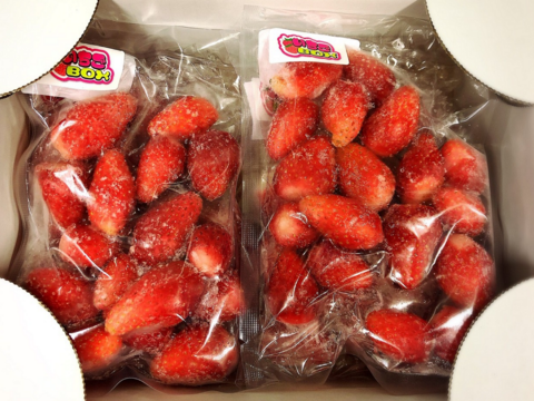 【ちょっと食べたい方へ】「ひたち姫」冷凍いちご★130g×24袋セット