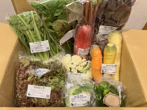 【栽培期間中：農薬不使用】季節の彩り野菜セット　Mサイズ