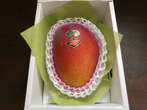 【果物の福袋】食べチョク初登場の「優品」！宮古島産完熟マンゴー1玉4Lサイズ(560ｇ~700ｇ)