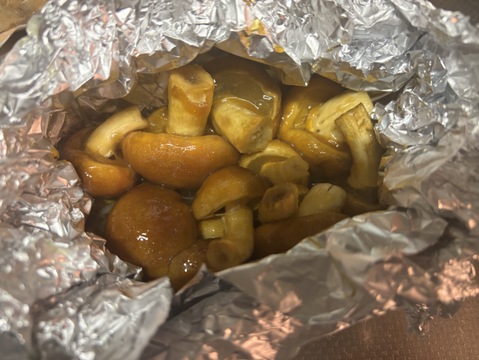 【4パック入】『飛騨高山』飛騨ジャンボなめこ約180g×4パック入り