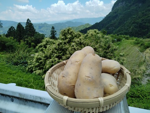 世界農業遺産の地域で採れたじゃがいも！メークイン60サイズ箱バラ詰め