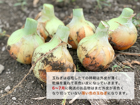 【大玉/10kg】淡路島産たまねぎ 特別栽培 兵庫県認証食品