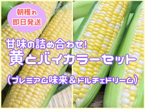 選べる楽しさ✨6本プレミアム味来＆ドルチェドリーム食べ比べセット6月下旬～【朝どれ】