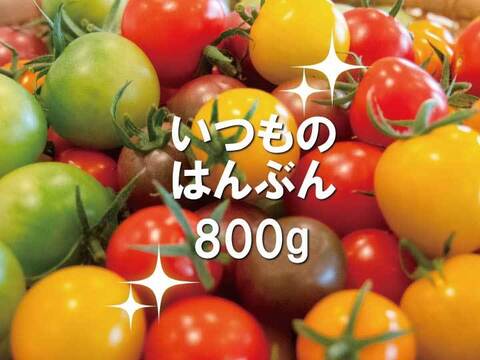 いつものはんぶん♪《食卓に彩りを》ビビッドカラフルミニトマト(800g)【トマト食べ比べ】
