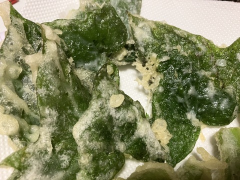 【2026年度予約商品】自然栽培さつまいものツル1.5kg