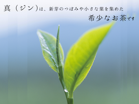 〈メール便〉夏のお茶くらべ2種各5g✖️10p　計20p　ほうじ茶NO.1 浅煎り、希少部位"真（ジン）"の水出し緑茶　ティーバッグ　静岡県産　春の一番茶　低カフェインで夜のリラックスタイムを