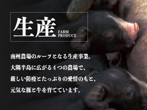 【添加物なし!!】鹿児島黒豚ノン・アッドソーセージ詰合せ