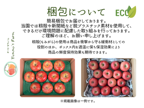 もぎたて 即日発送 りんご サンふじ 訳あり 家庭用 10kg 長野県産 信州りんご発祥の地 産地直送 除草剤不使用 人にやさしく環境にもやさしい