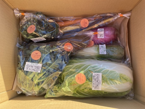 今が旬、蒸し野菜におすすめ季節の野菜セット（約5品）Sサイズ