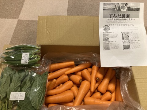 豊かな大地で育った人参(9.5kg)農薬化学肥料不使用　旬の1品オマケ付き