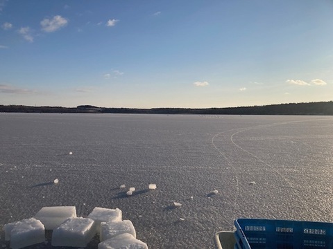 【北海道冬の味覚】干し氷下魚(コマイ)　500ｇ(250ｇ×2個入り)