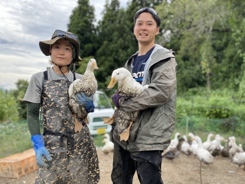 新鴨　鴨肉（あひる）1羽中抜き1800g台　田んぼで育った健康的な鴨