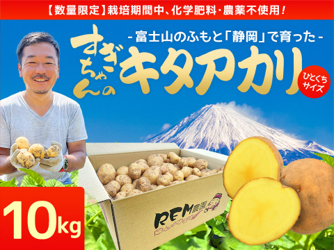 【栽培期間中化学肥料・農薬不使用】じゃがいも（キタアカリ）10kg 静岡県 藤枝産 R6年産