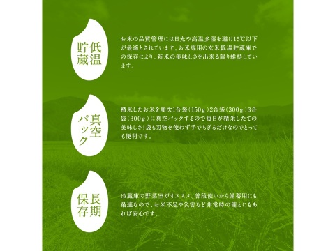 便利 で 鮮度 長持ち！新米 令和６年度 無洗米 山形県産 あきたこまち 2合 袋（300ｇ）15個入り 産地直送 生産者直送 お米 米 白米 精米 おすすめ