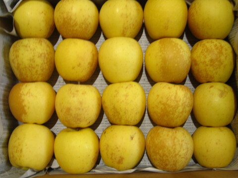 完熟はるか(有袋) 小玉(サビ) 家庭用 総重量 約3.8kg 青森県 南部地方産 自家りんご農園生産直送品！