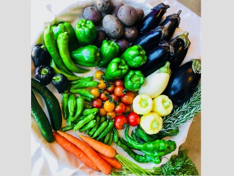 旬の無農薬野菜セット(10品目)
