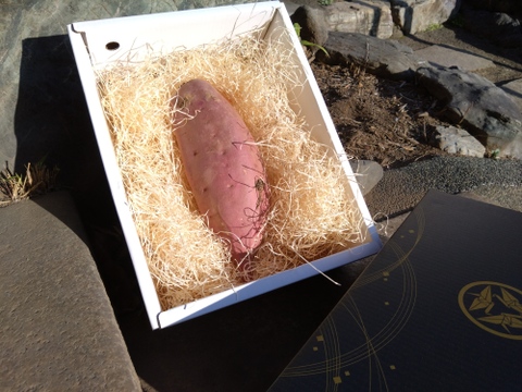 📺️日テレ沸騰ワード10紹介📺10周年記念番組で話題【幻の千年紅はるか】100本に1本蜜化する濃厚さつまいも🍠寛永鶴見ブランド最高級ランクの逸品【冬ギフト】