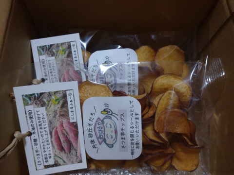 さつま芋チップス《砂丘育ちの紅はるか使用》 76g×２袋