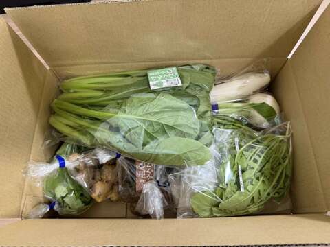 【カレンダー付】絶品！とくうま秋冬野菜５〜７品セット＜１１月発送分＞