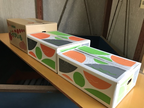 肥のあけぼのみかん　3kg長崎県雲仙市産