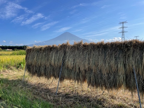 富士山麓、自然栽培(なにも入れない) 野菜たち（8品）+手前味噌（500g）+豆菓子4個