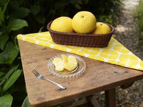 【5月中旬より発送予定】爽やかで夏らしい味わい　夏みかん【家庭用(訳あり)】5kg 318-3