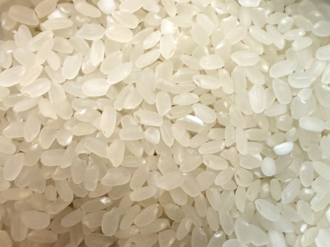 【令和7年】ミルキークイーン・再生二期作・白米無洗米（10kg）【栽培期間中　農薬・化学肥料不使用】