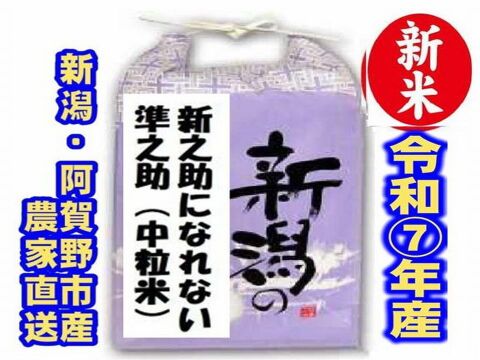 新米・令和7年産新潟　新之助になれない準之助　色彩選別済  ※お値打ちな、クラフト袋入白米10キロ1個★農家直送　新之助訳あり　家庭用まかない用【中粒米】の数量限定販売を始めました。