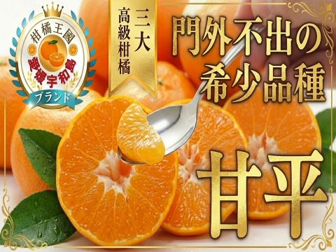 【愛媛門外不出の幻柑橘】三大高級柑橘『甘平』香り控えめで甘み爆発☆噛むたびシャキッと甘い！探しても見つからないみかん🍊お試しキャンペーン約1㎏【2月上旬予約】