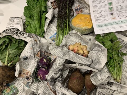 【とても希少な自然栽培＆固定種野菜のみのセット】自然と一緒に育てた旬の野菜セット6~8種類