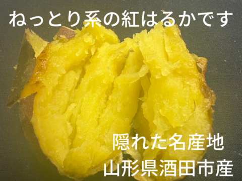 甘党さん集まれ〜！！さつまいも 紅はるか【 オヤツにピッタリSSサイズ 】２kg！山形県酒田市産 【無くなり次第終了】