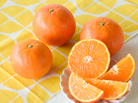 濃厚果汁がたっぷり！　セミノール【家庭用(訳あり)】[5kg]　319-3