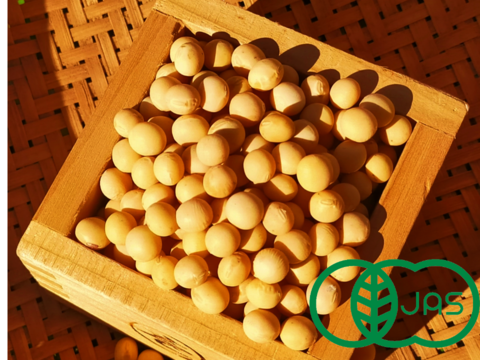 優しい味わい！農薬不使用の有機大豆！800g  北海道の大地で育ったとよまさり　1月20日ころから発送予定