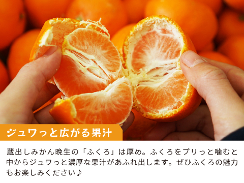 蔵出しみかん晩生10kg｜日本農業遺産認定の和歌山県海南市下津町の特産品
