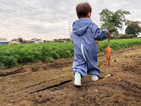 【臭みという言葉を知らない人参】食卓を彩る絶品人参❗️5kg！甘みたっぷり！生でも美味しい！希少価値高い品種！料理しやすいサイズをお届け！食卓に鮮やかなオレンジ色を🧡