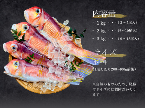 【家庭料理に】ふっくらやさしい甘みの甘鯛（３kg）
