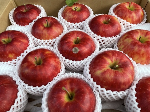 特選　ジョナゴールド　約5kg【2025年産】