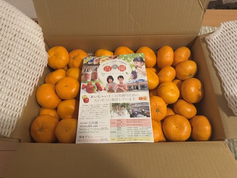 【ギフト可】果汁たっぷり！熊本晩生みかん『金峰（きんぽう）』10ｋｇ（1/30まで）