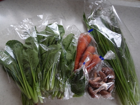 旬の野菜セット＜栽培期間中農薬・化学合成肥料不使用＞（8品目）