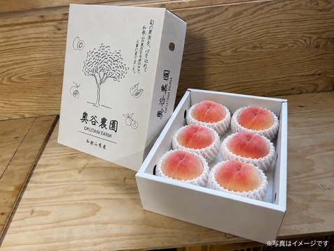 【今年初出品❗️予約限定50箱❗️】　
和歌山県産　〈白鳳〉約2㎏ 　7〜8玉入り
贈答用にも❕