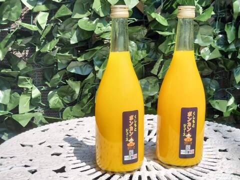 四季彩園のくしもとポンカンジュース