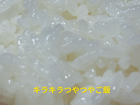 【令和７年新米】岡山県産 にじのきらめき玄米10kgホタル舞う田んぼで育てました。キラつや、ふっくらモチモチ食感で冷めても美味しいご飯になります、白米も可能です。